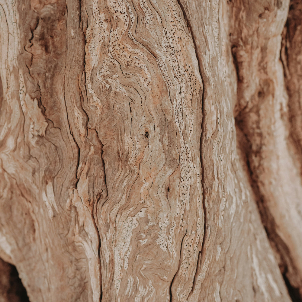 Olivenholz-Struktur zum Verständnis für unsere personalisierten Schneidebretter.