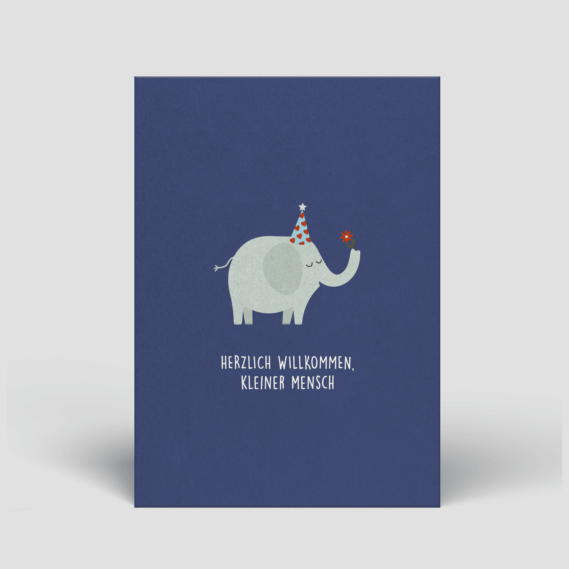 Postkarte - Elefant zur Geburt - Nr. 90 - Naturbedacht kaufen