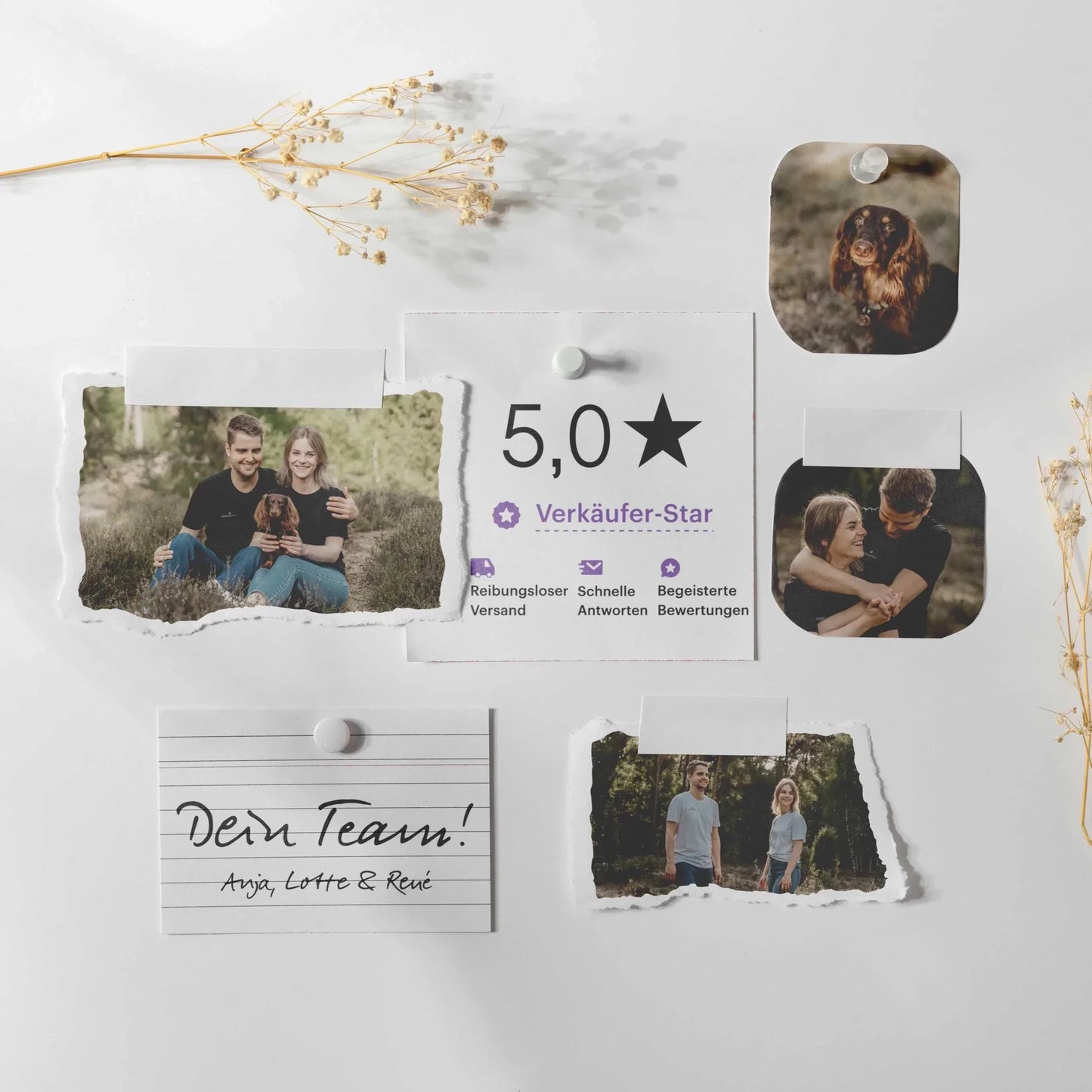 Postkarte Einzug/Umzug/Deko - "Bielefeld" - Naturbedacht kaufen